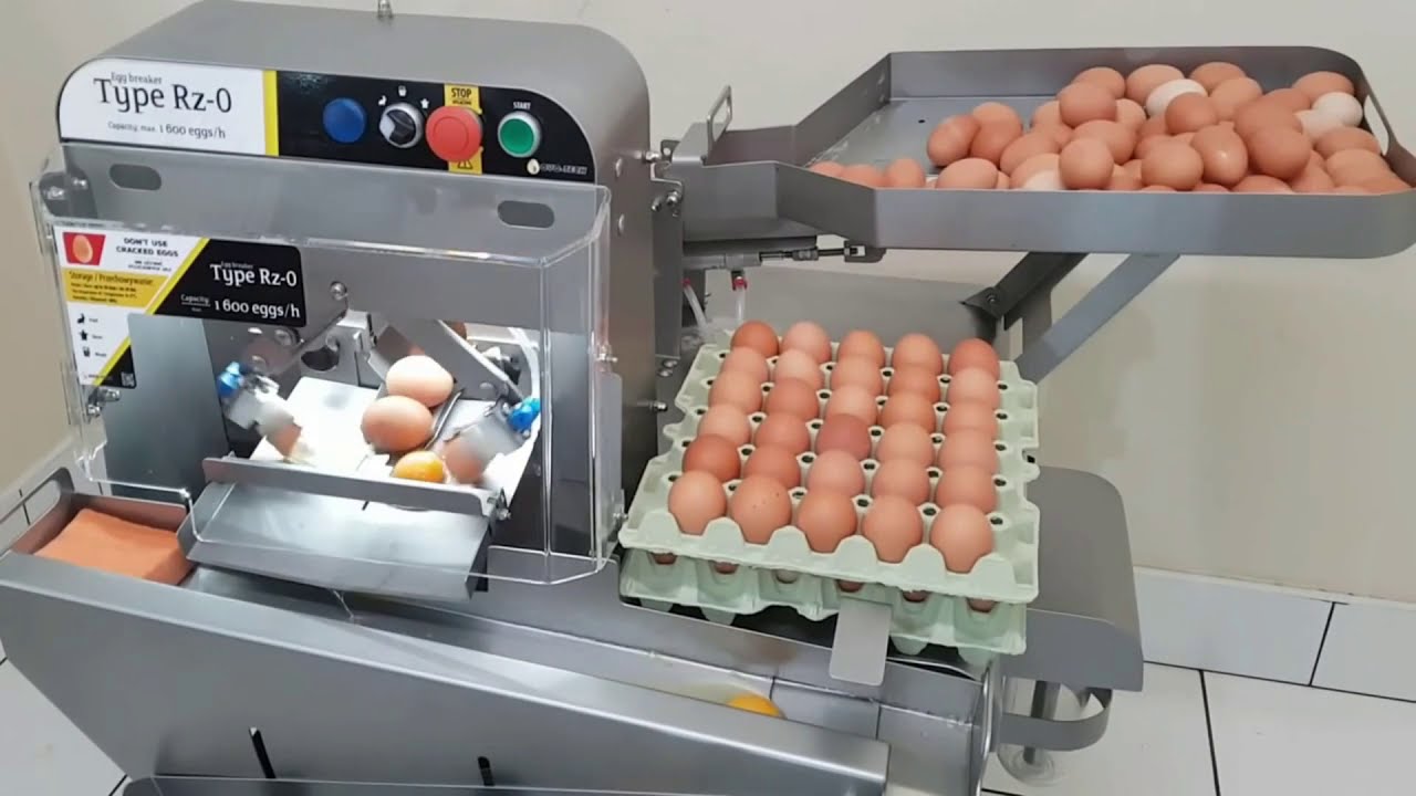 Revolutionary Egg Processing Technology: Automated Grading, Packing ...